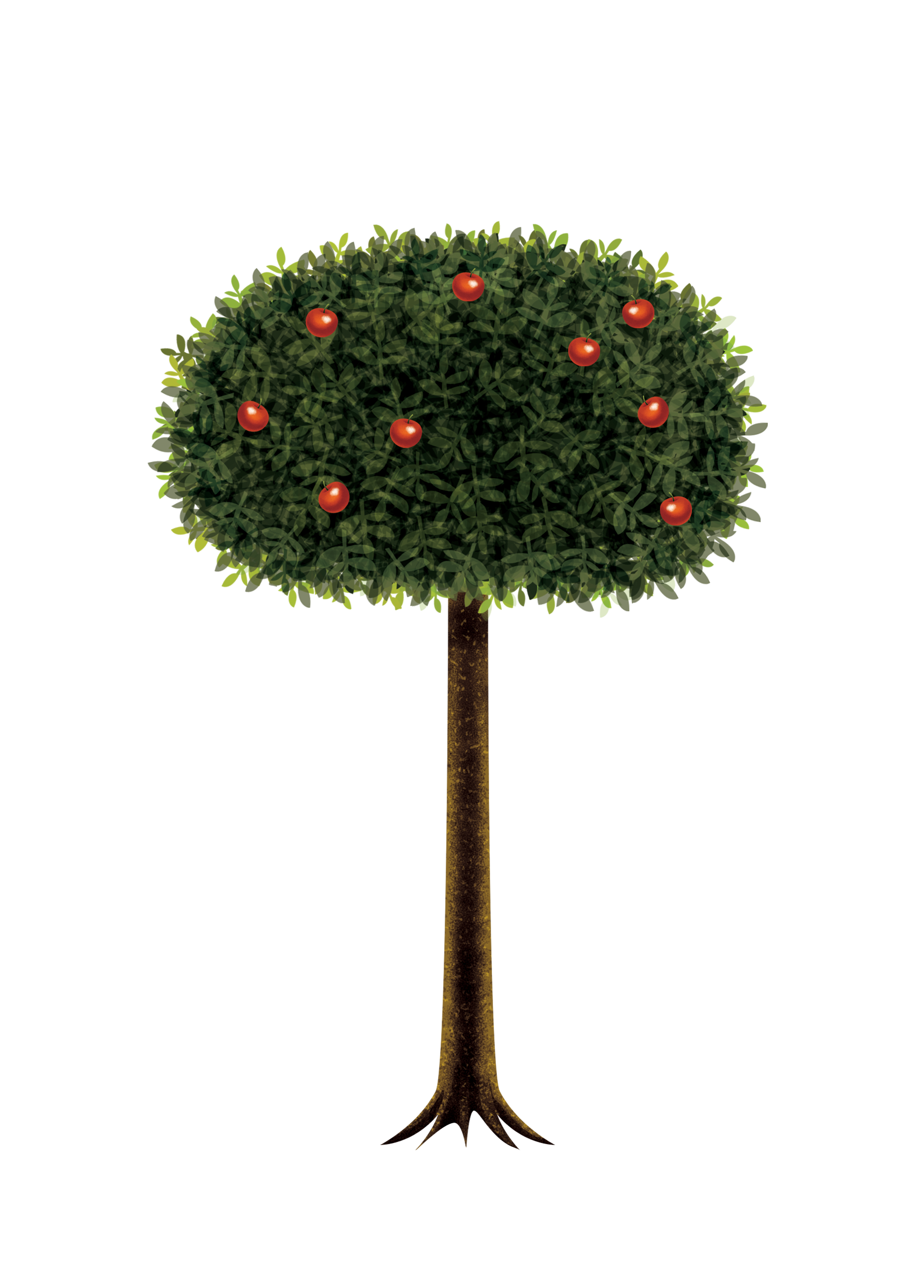 Family Tree Drawing Clipart