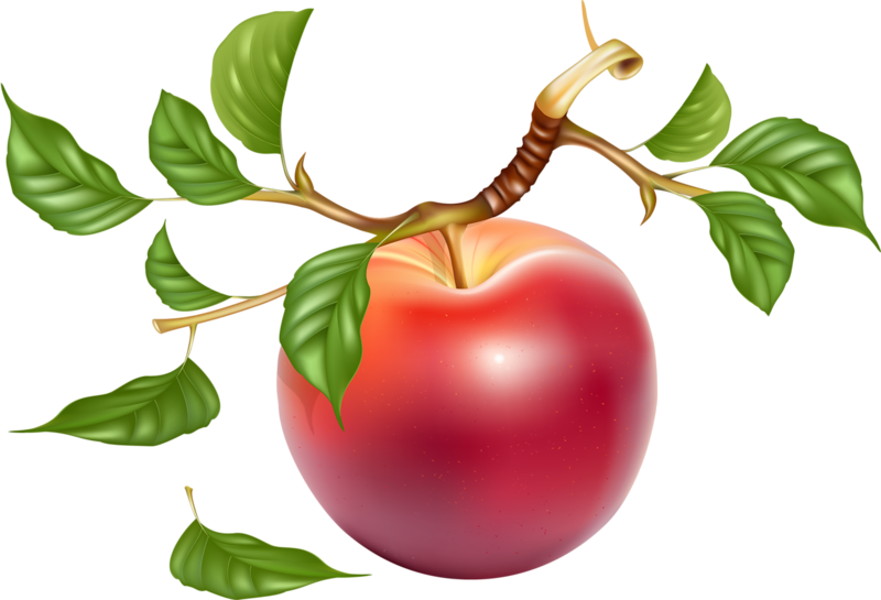 Wine Background Clipart