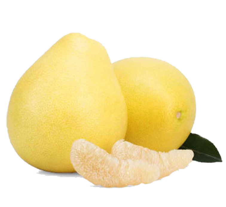 Lemon Background Clipart