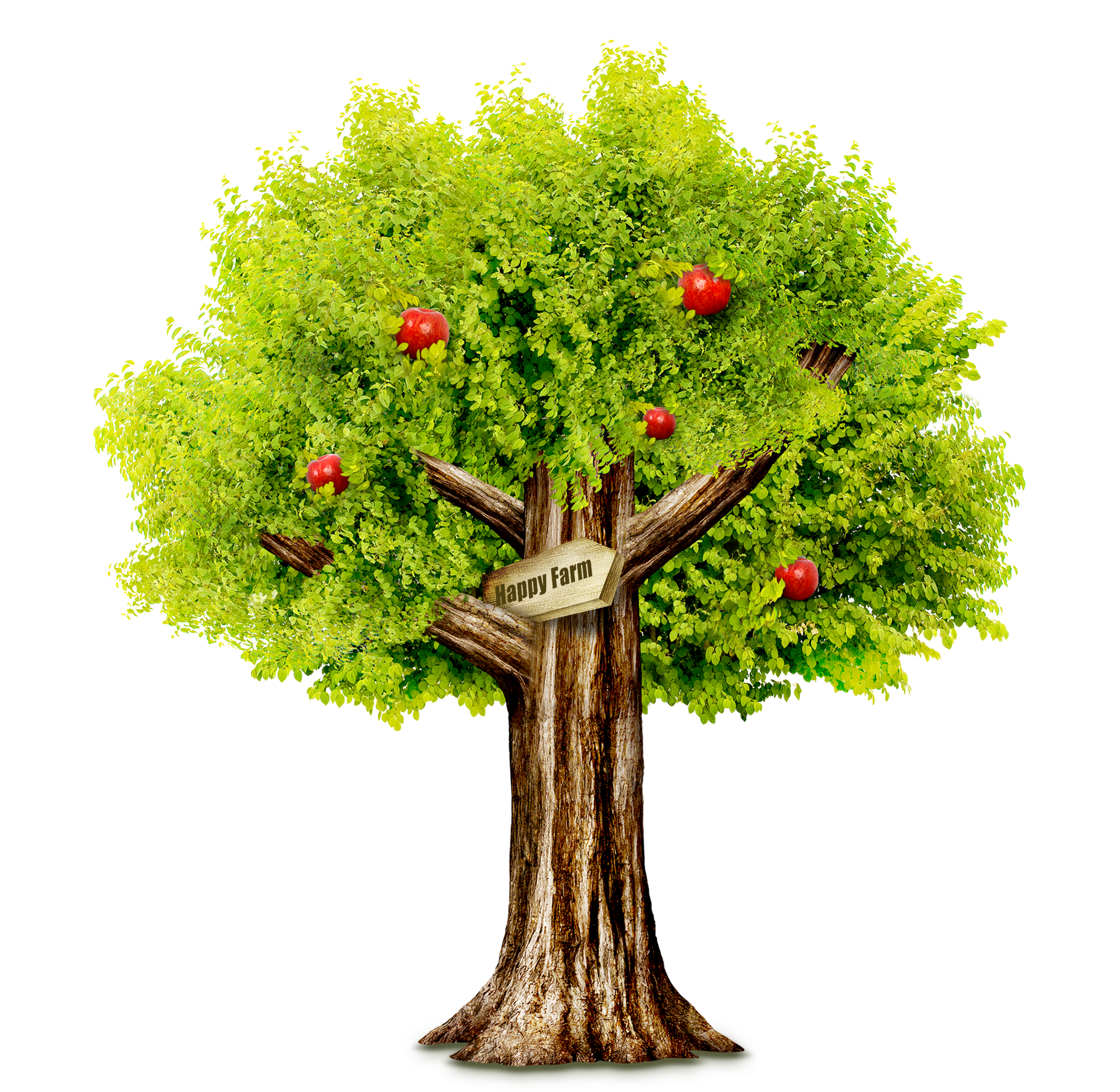 Green Grass Background Clipart