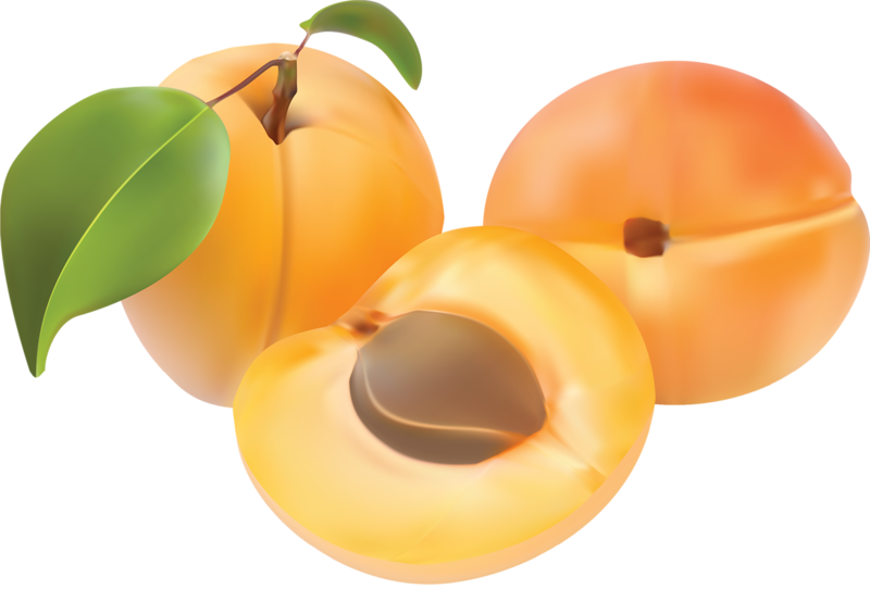 Fruit Cartoon Clipart