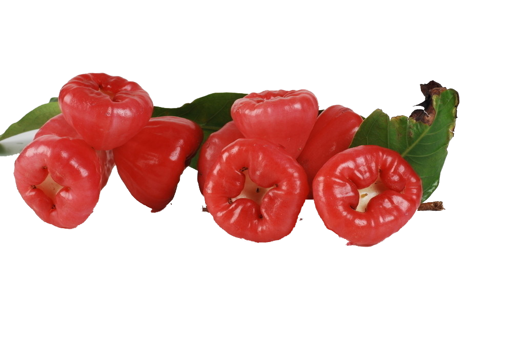 Tomato Cartoon Clipart