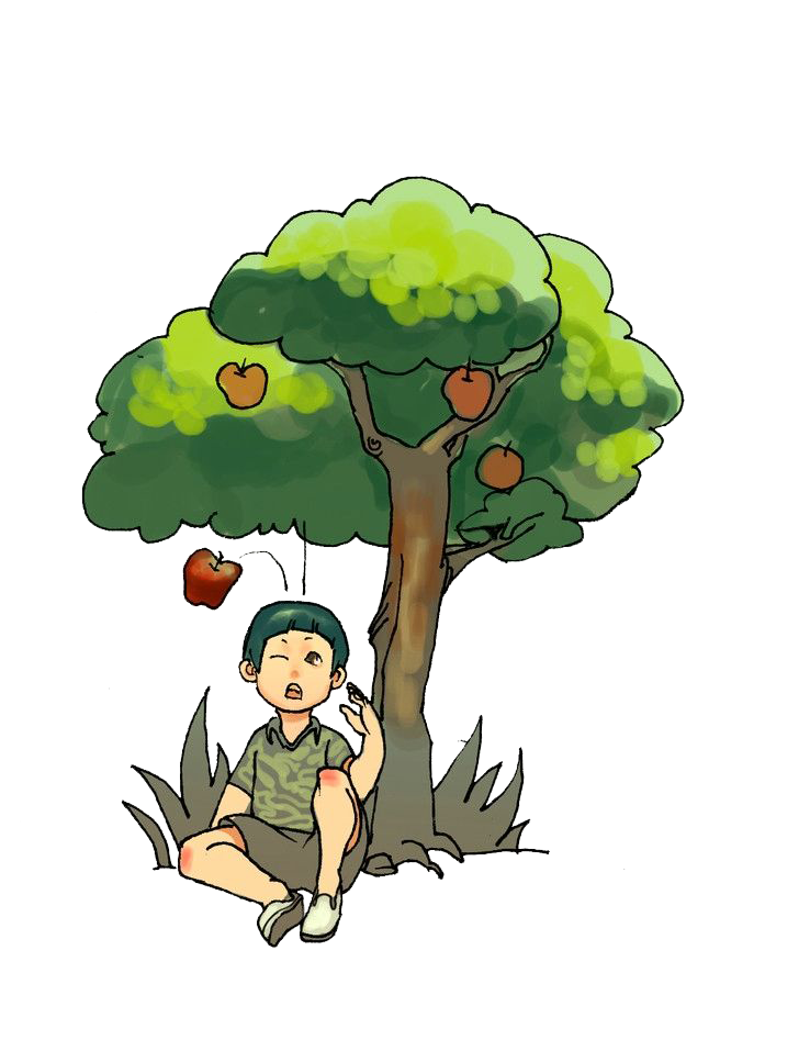 Apple Tree Drawing Clipart