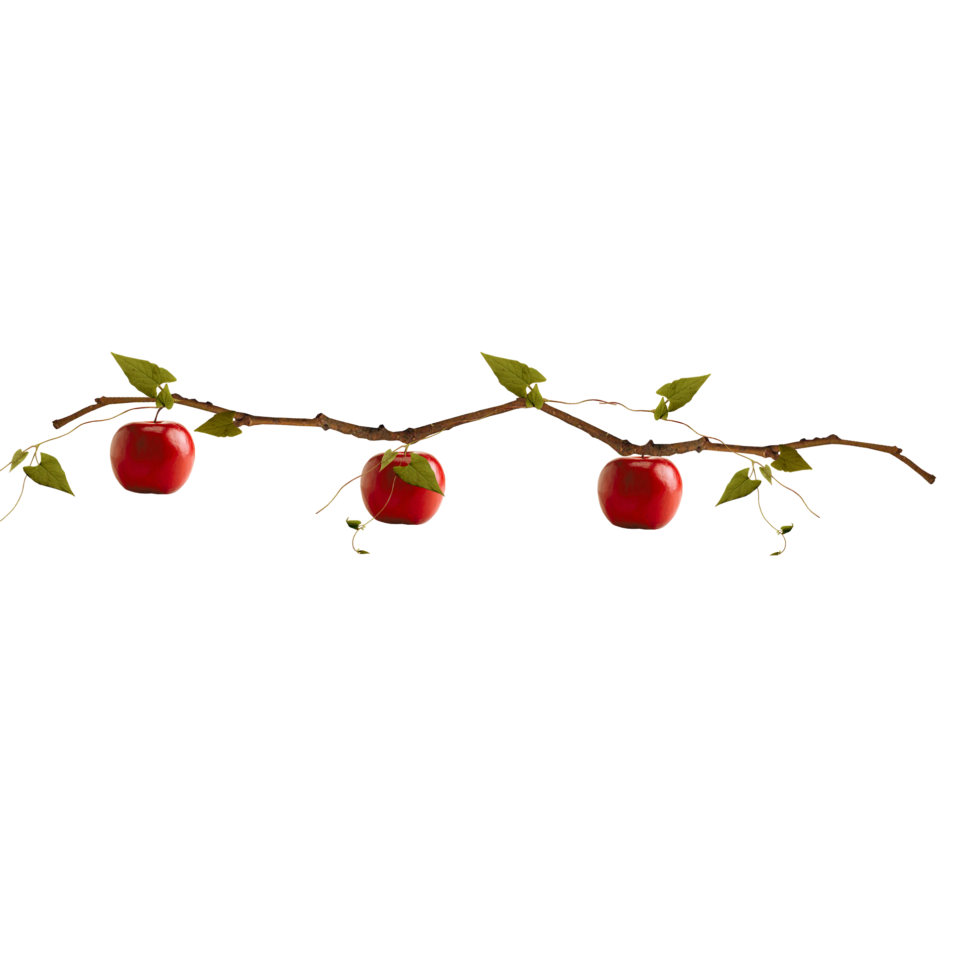 Fruit Cartoon Clipart