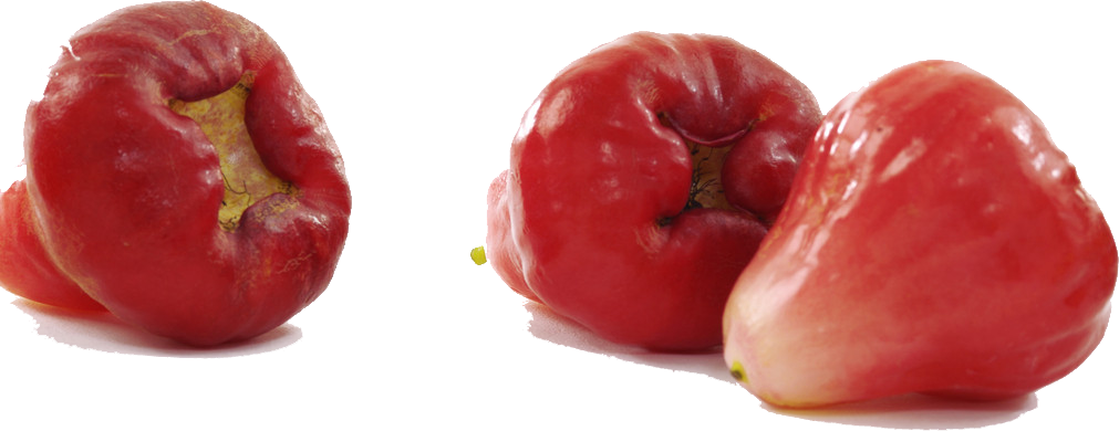 Tomato Cartoon Clipart