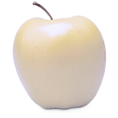 apple fruit plant food candle Clipart