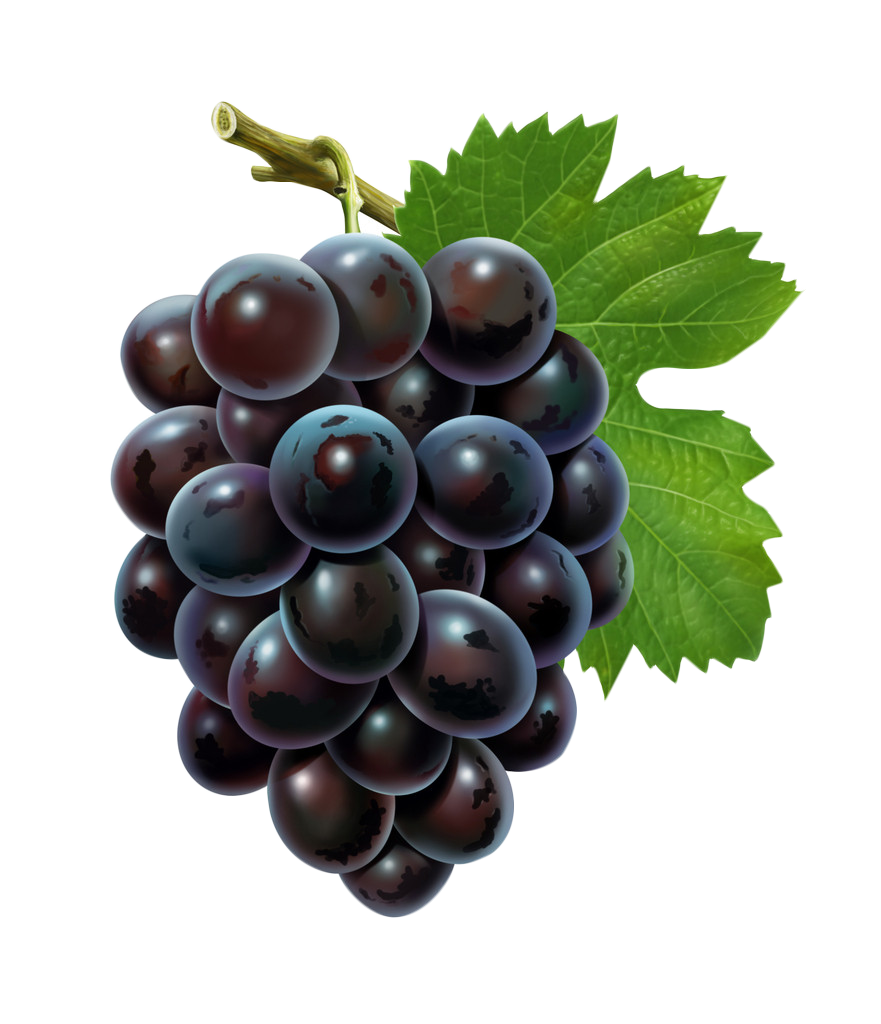 Grape Cartoon Clipart