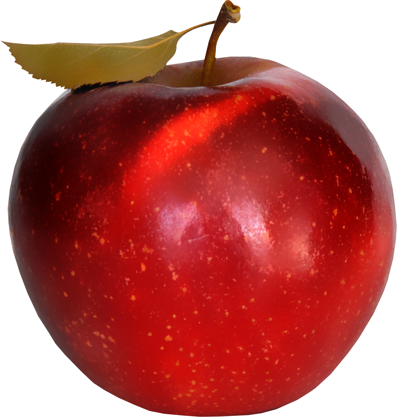 Apple Leaf Clipart