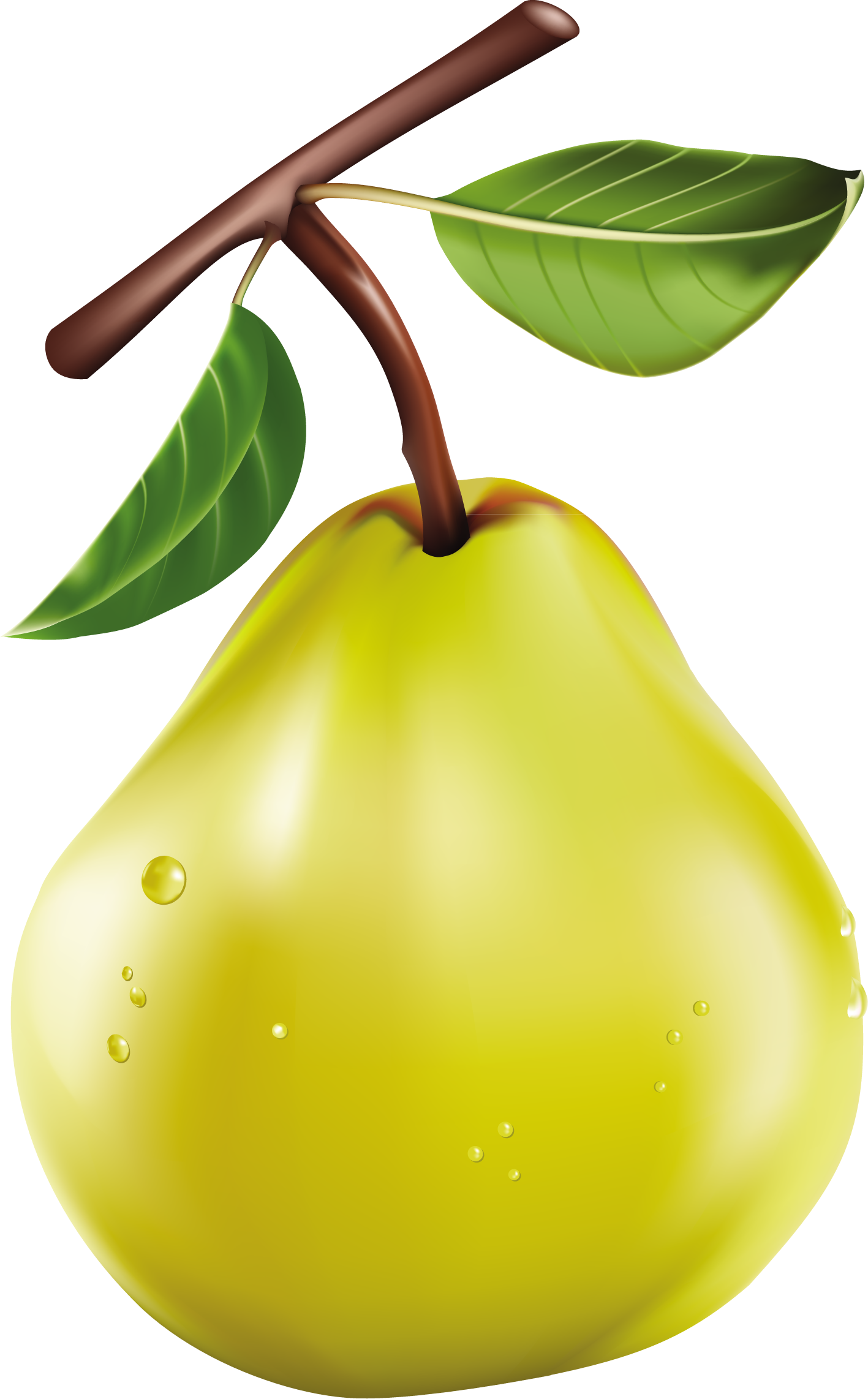 Apple Tree Clipart
