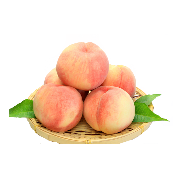 Juice Background Clipart