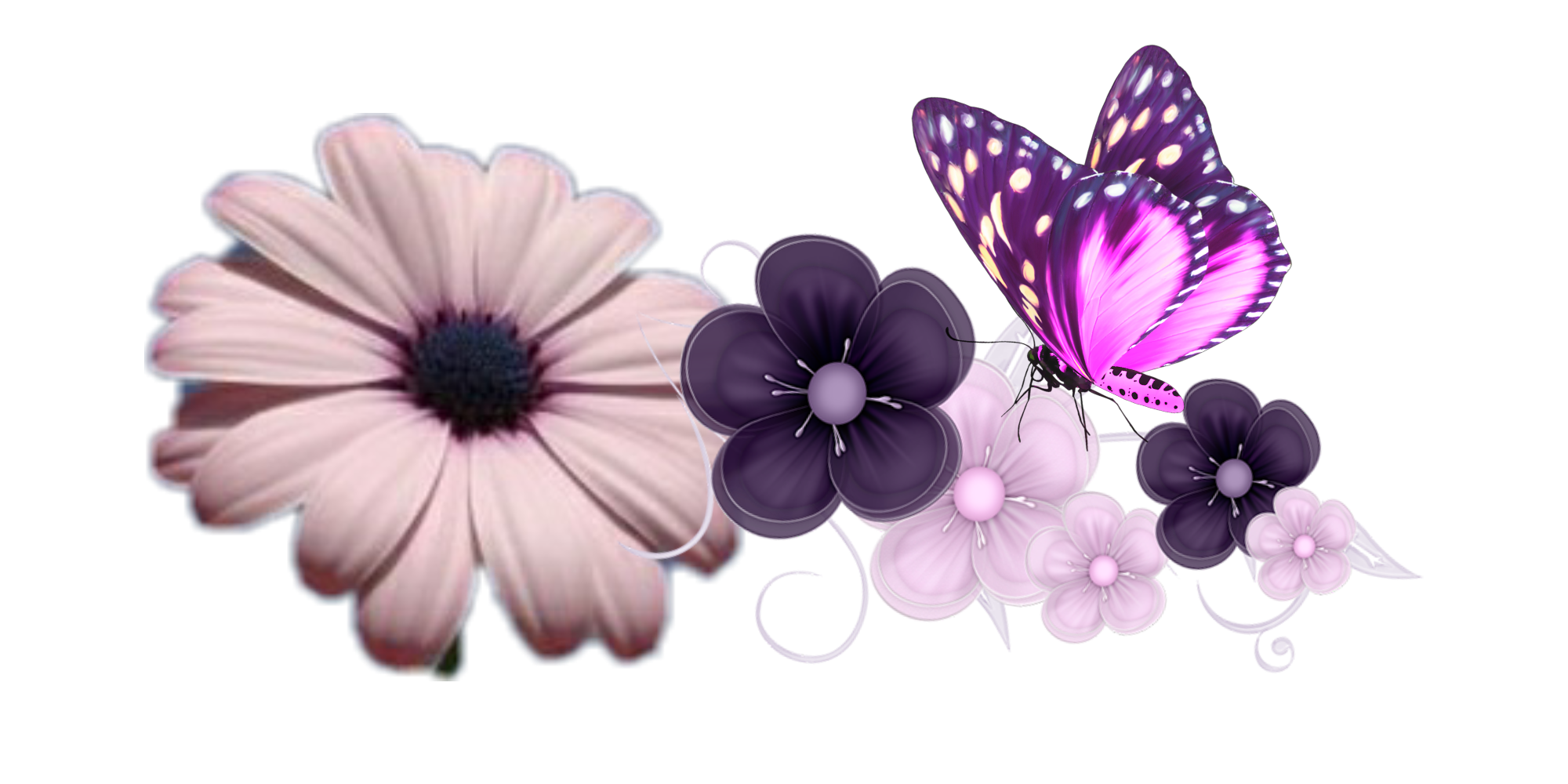 Flowers Clipart Background Clipart
