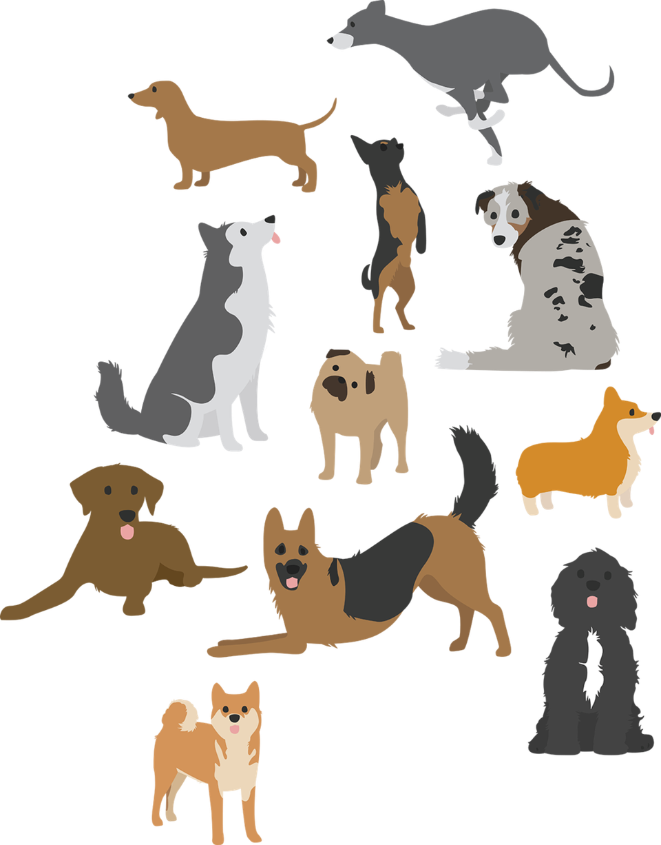 Dog And Cat Clipart