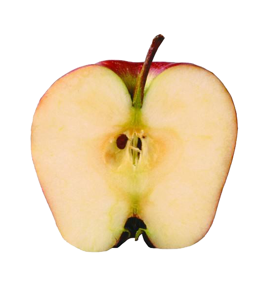 Apple Cartoon Clipart