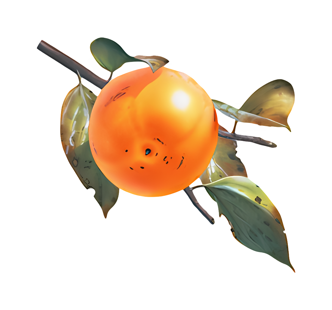 Close-up of orange fruit hanging from tree branch Clipart