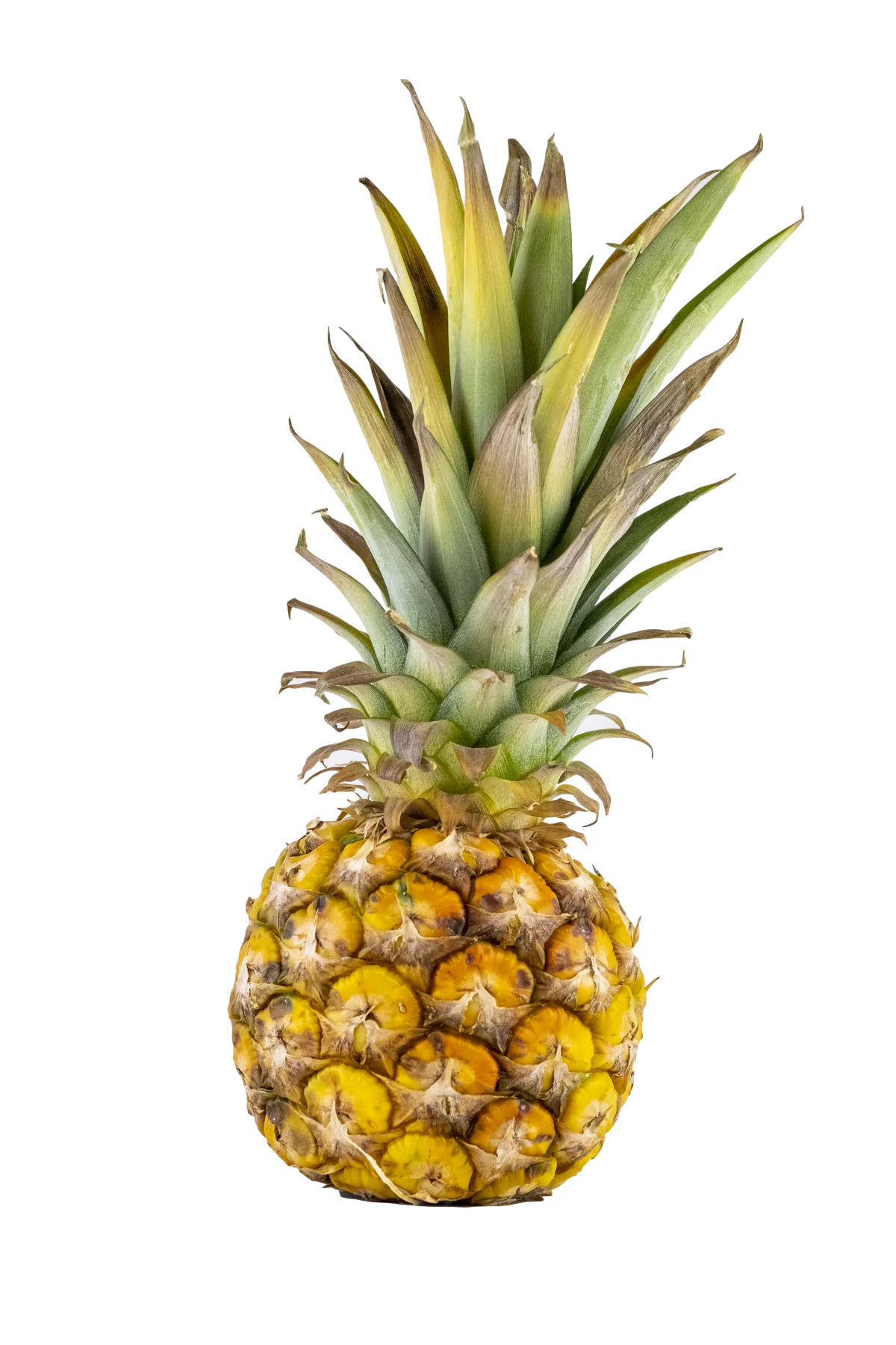 Pineapple Clipart