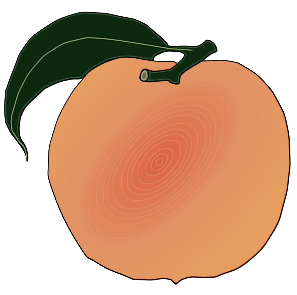 Orange Clipart