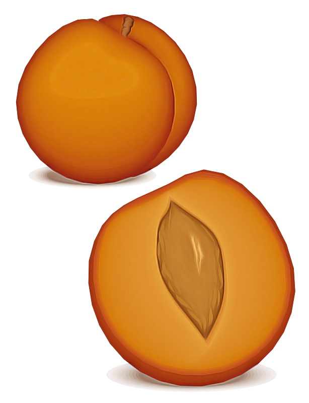 Orange Clipart