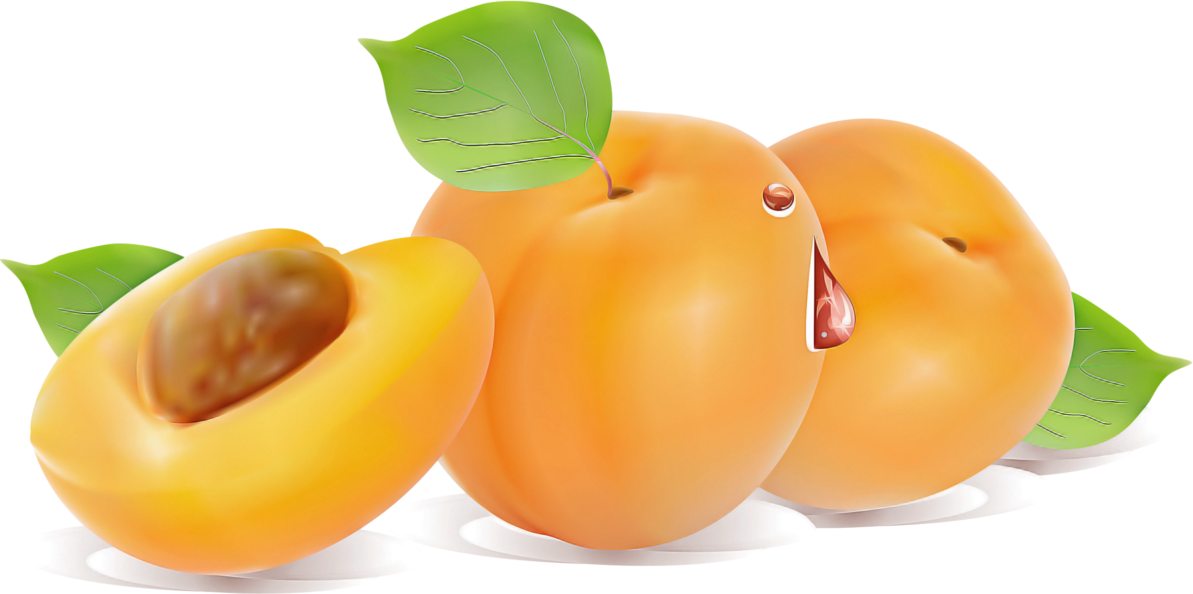 Orange Clipart