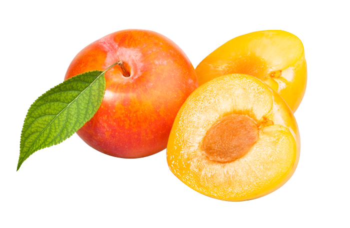 Fruits Background Clipart