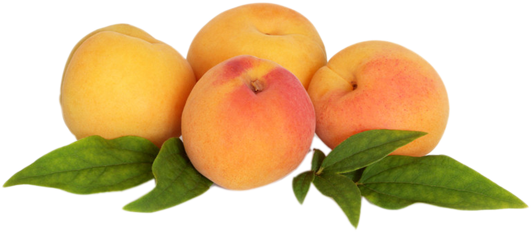 Mango Cartoon Clipart