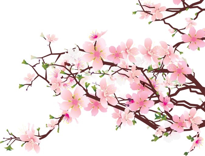 Cherry Blossom Tree Clipart