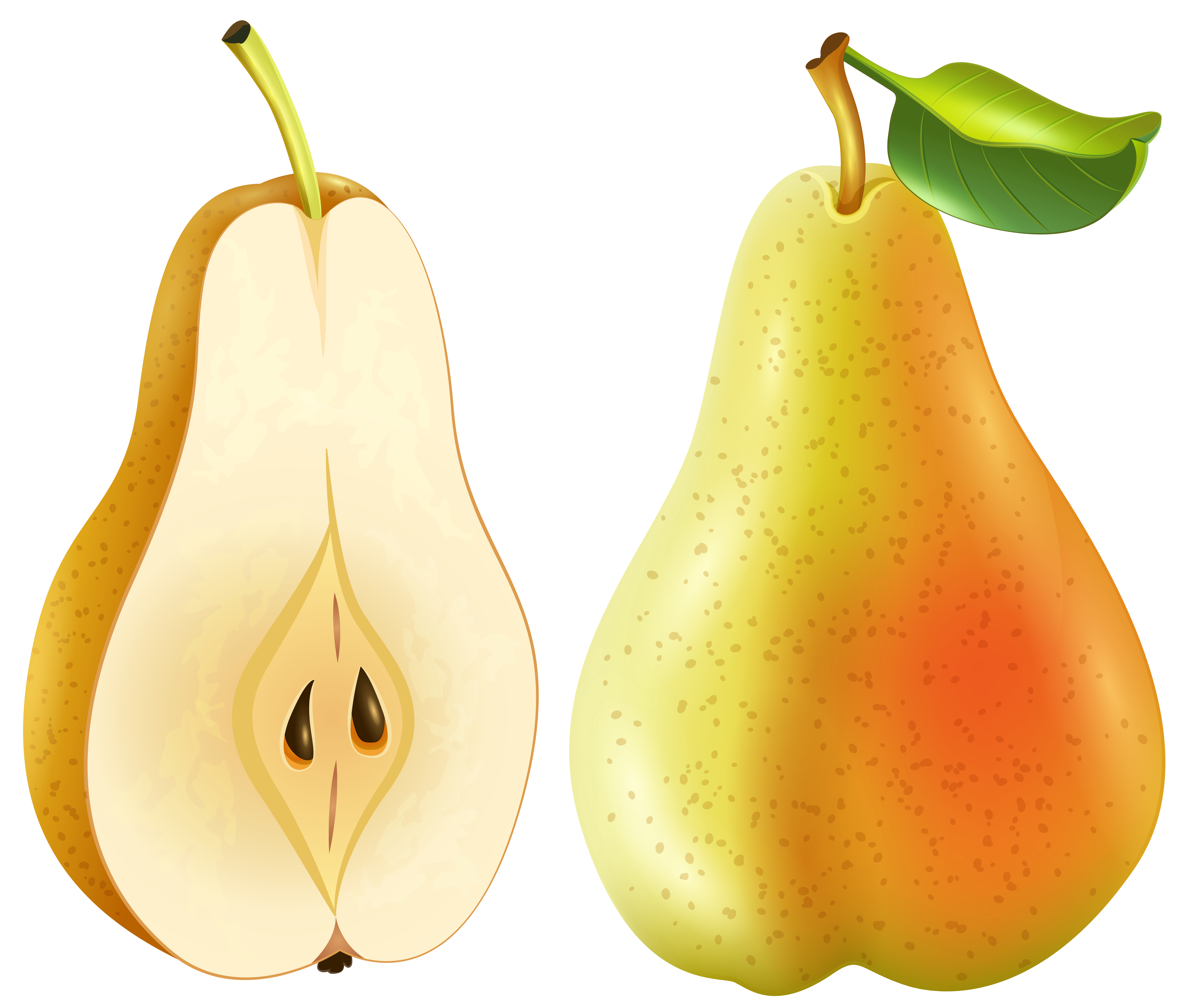 Watermelon Cartoon Clipart