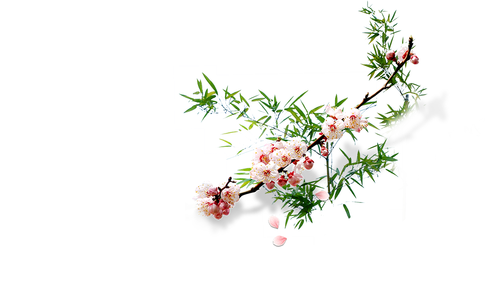 Floral Flower Background Clipart