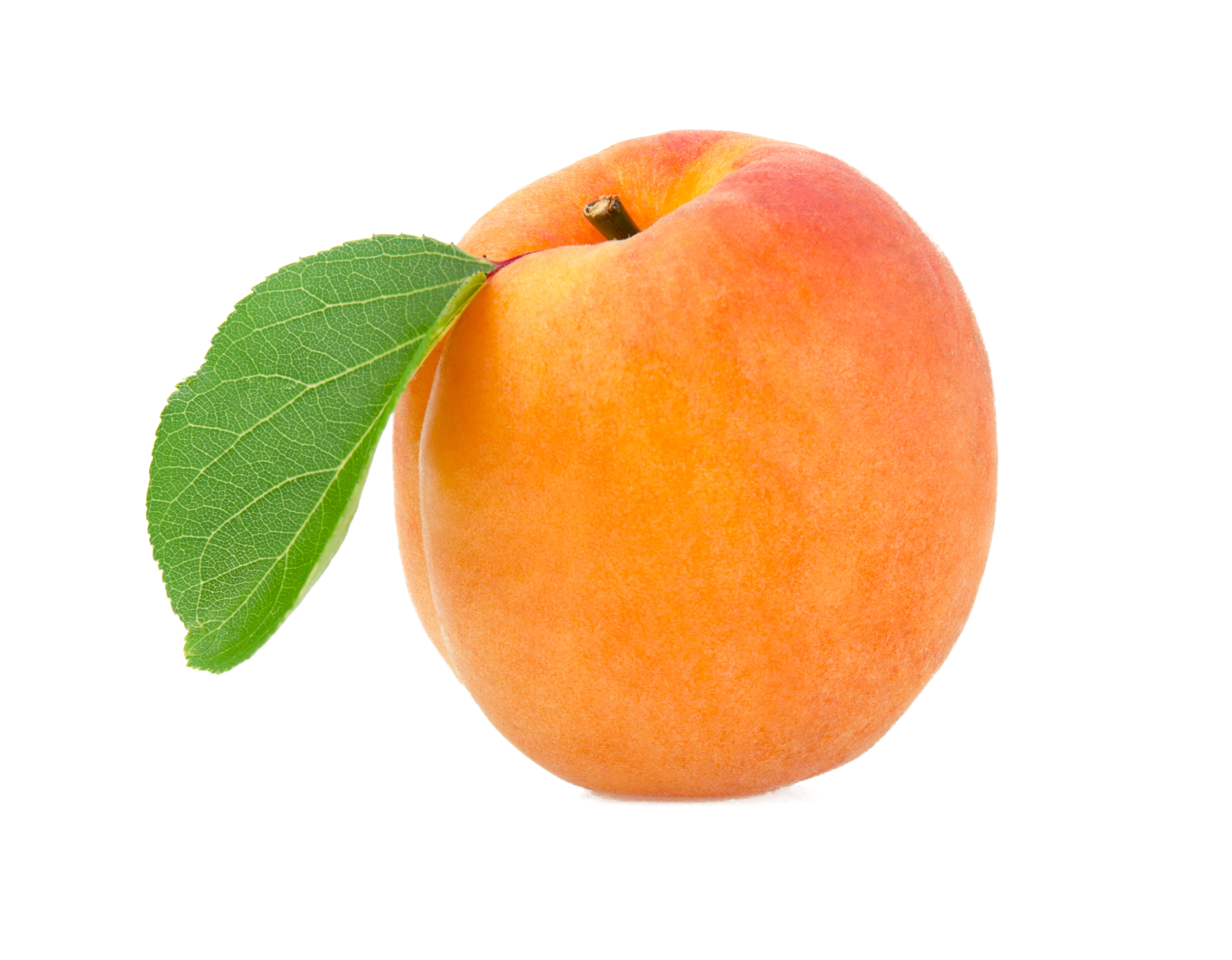 Apple Cartoon Clipart