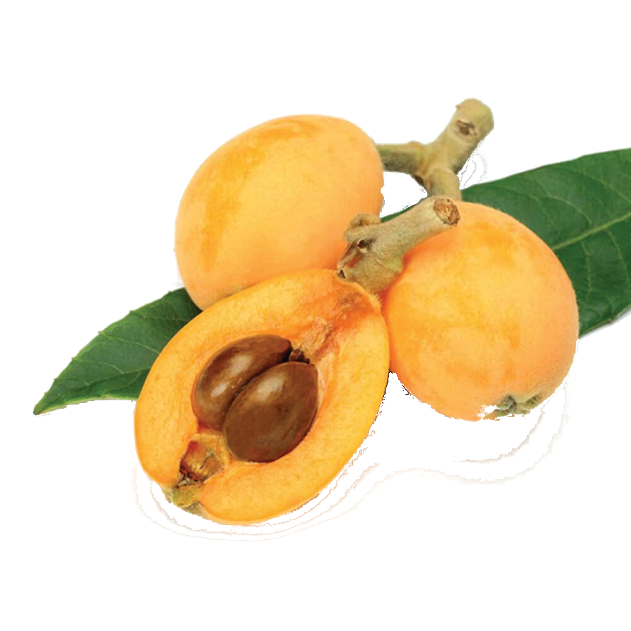 Fruit Tree Clipart