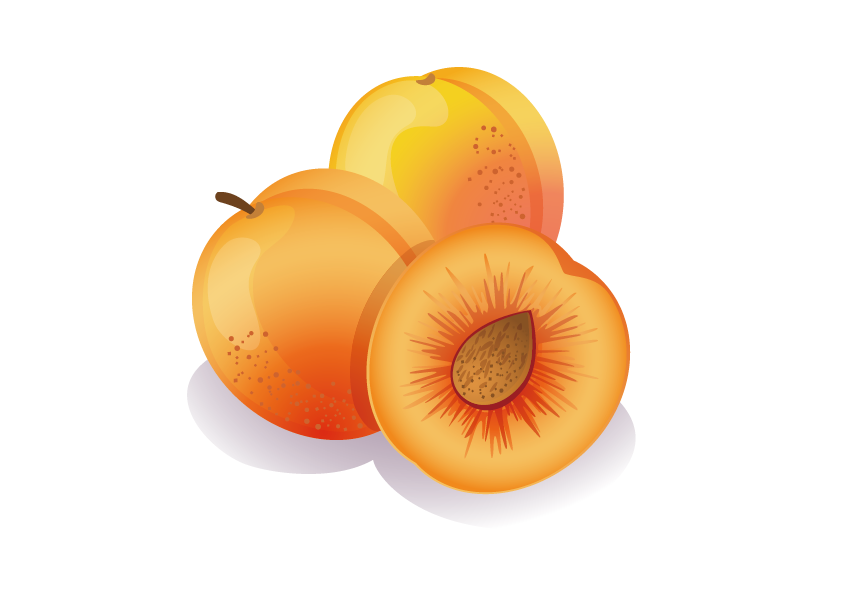 Fruit Cartoon Clipart