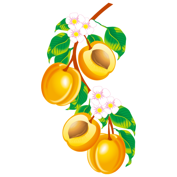 Orange Tree Clipart