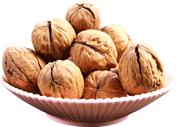 Cashew Tree Clipart