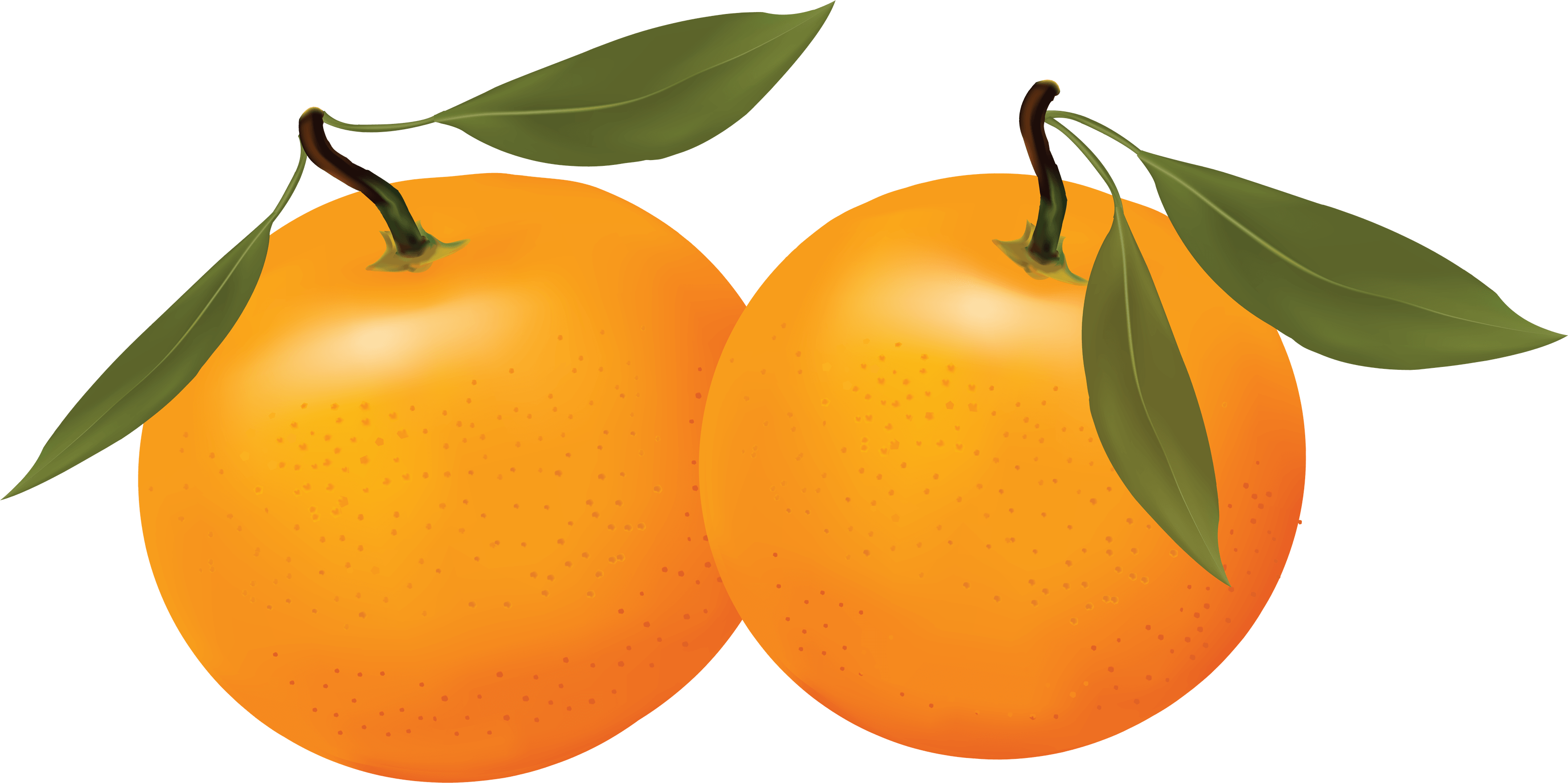 Apple Tree Drawing Clipart