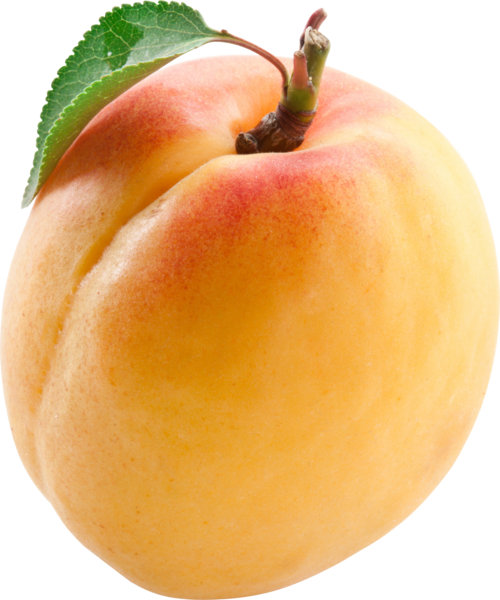 Apple Cartoon Clipart