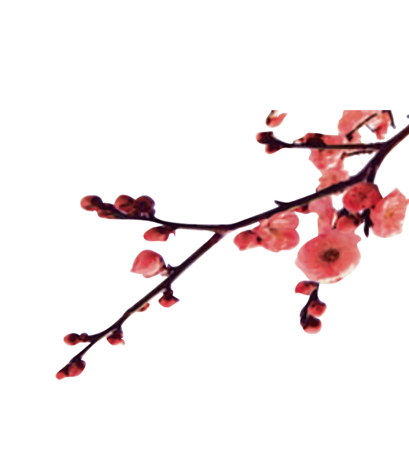 Plum Blossom Clipart