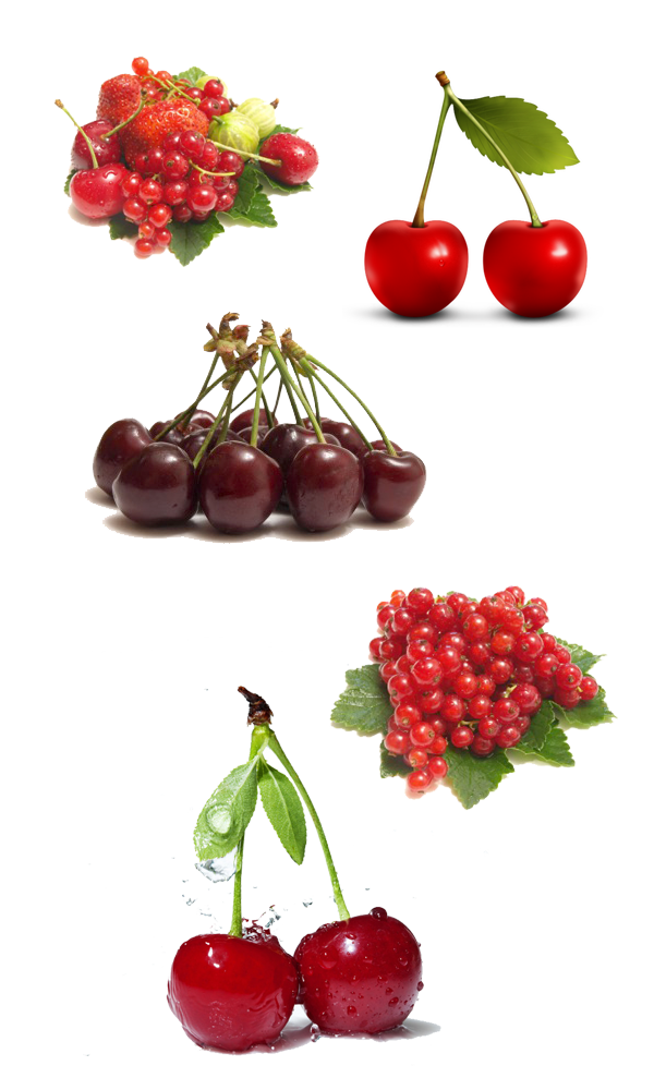 Grape Cartoon Clipart