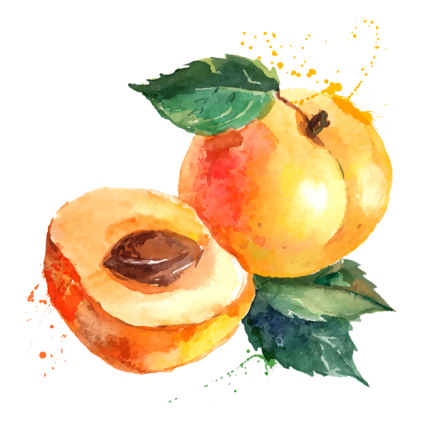 Healthy Food Clipart