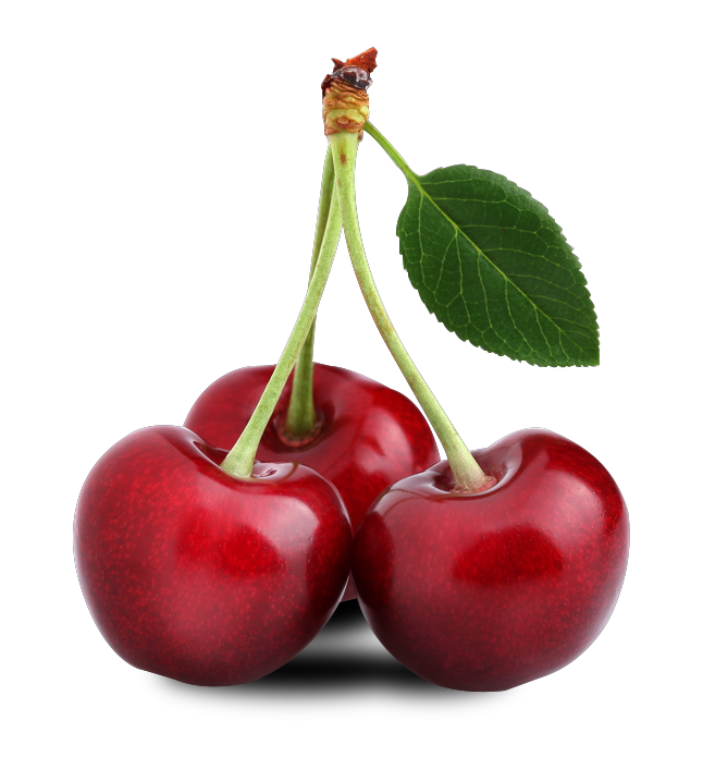 Onion Cartoon Clipart