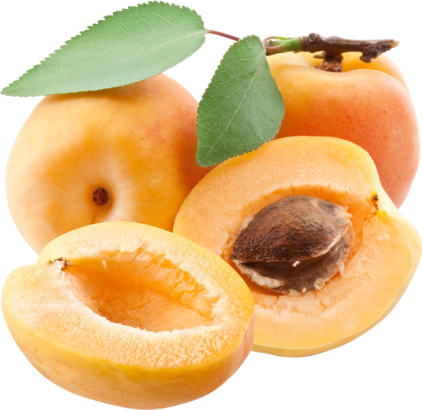Fruit Cartoon Clipart
