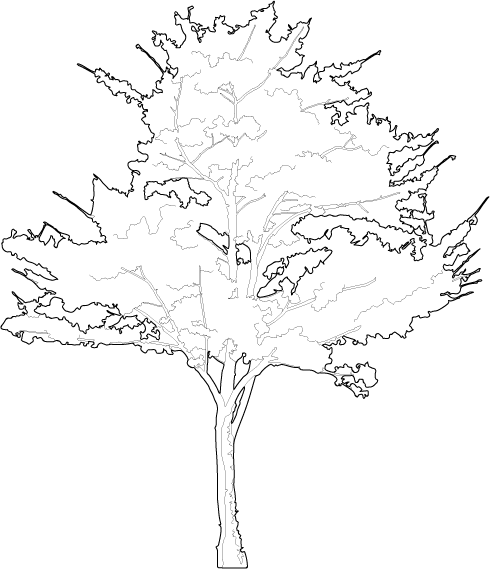 Black And White Flower Clipart
