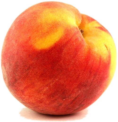 Fruit Juice Clipart