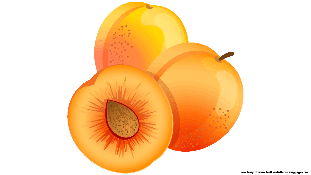 Writing Cartoon Clipart