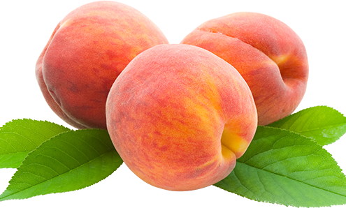 Fruit Cartoon Clipart