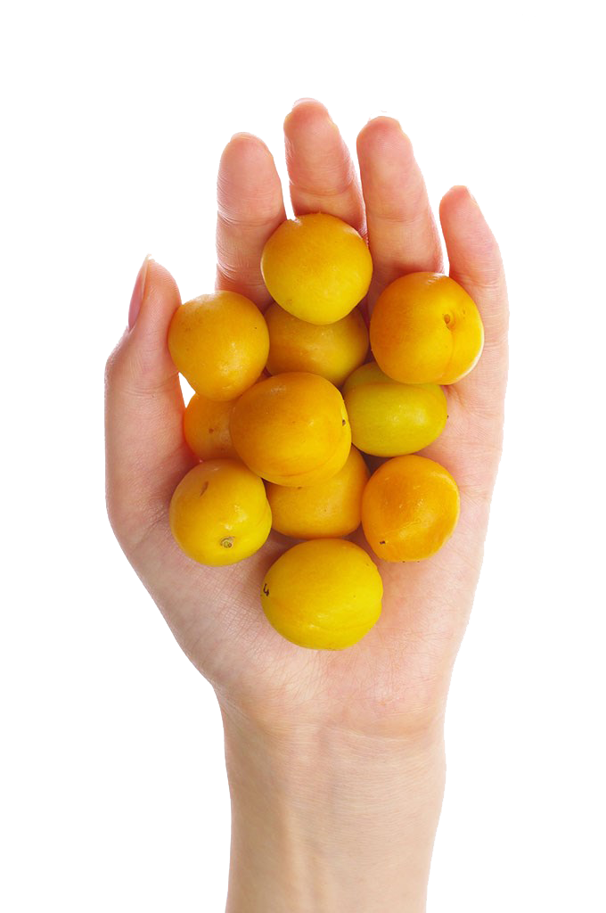 Lemon Background Clipart