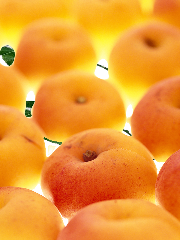 Food Background Clipart