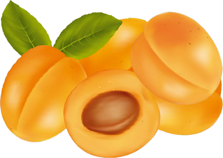 Fruit Cartoon Clipart