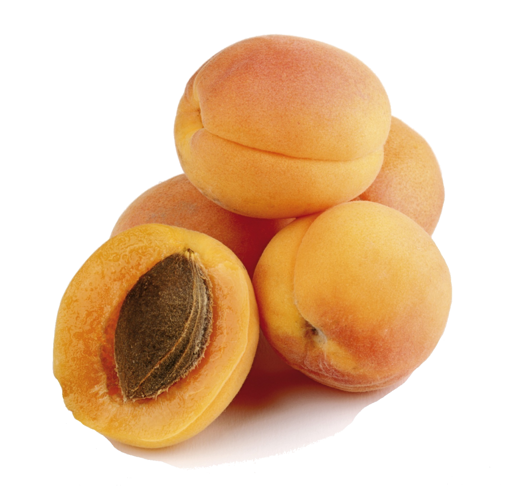 Fruits Background Clipart