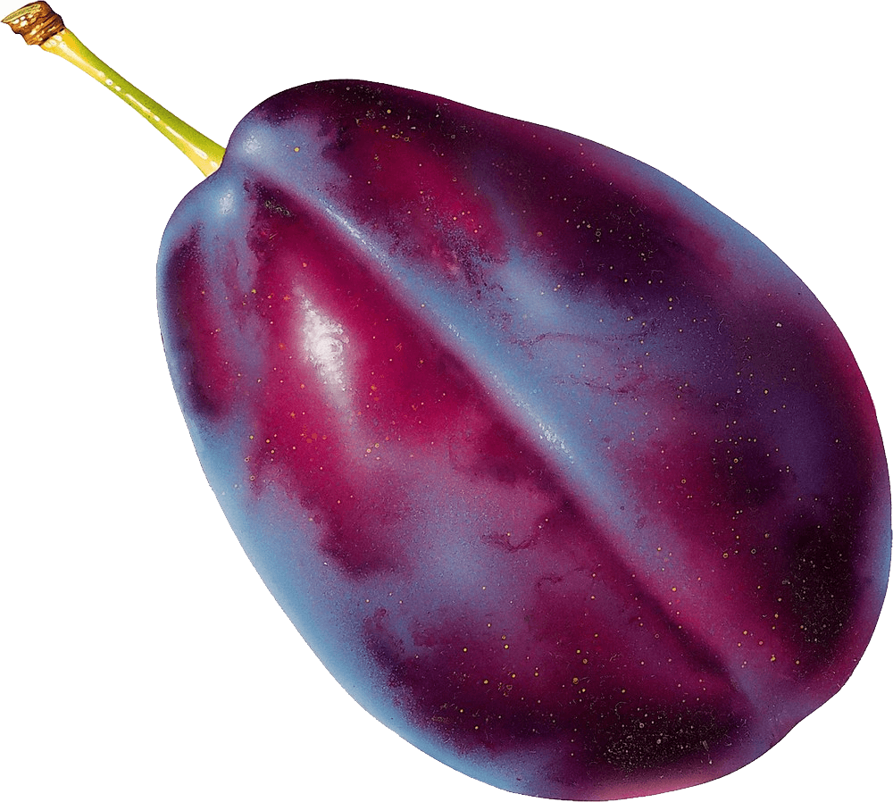 Fruit Cartoon Clipart