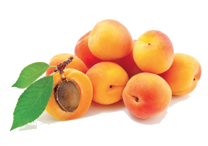 Fruit Cartoon Clipart