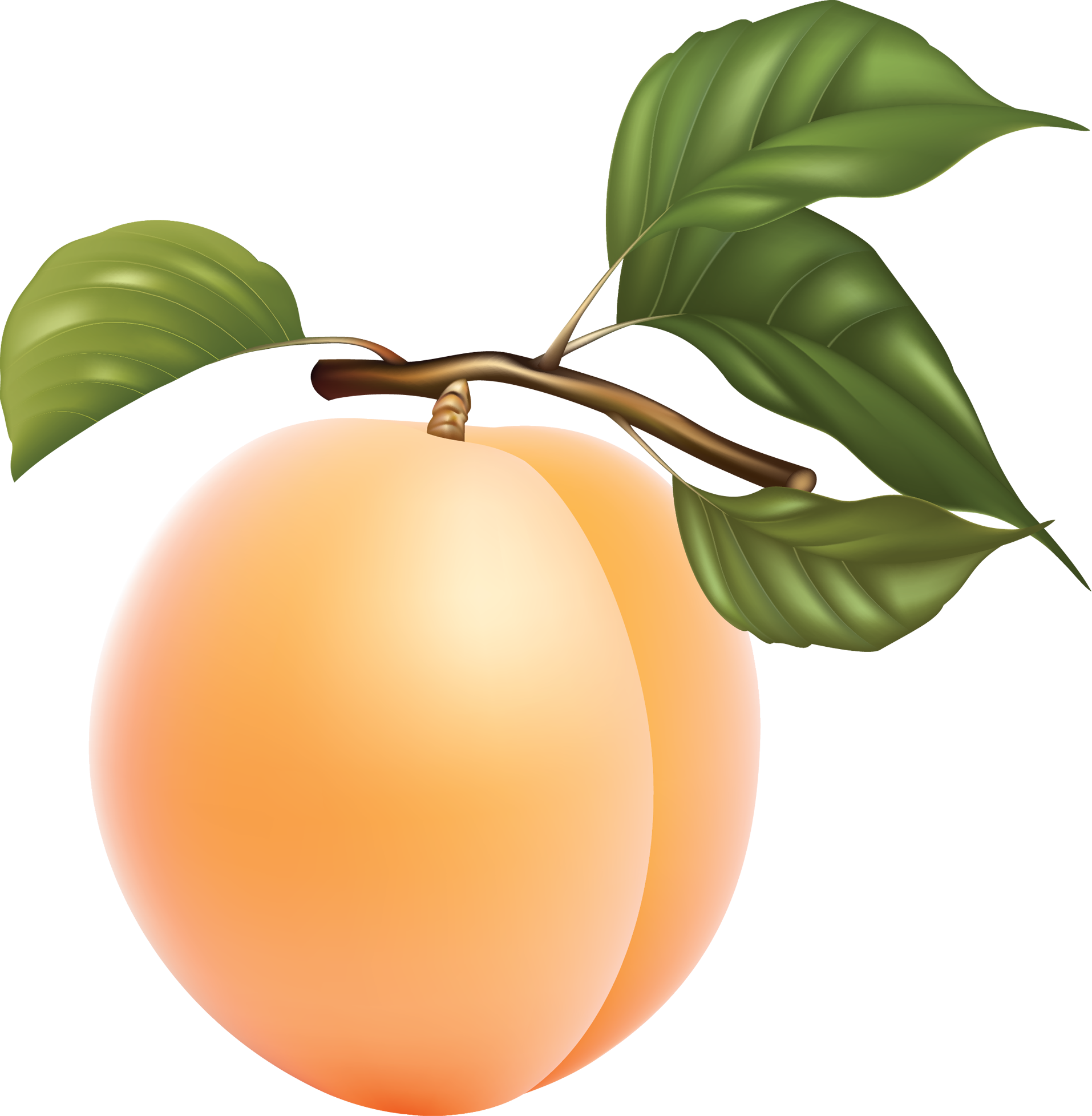 Apple Cartoon Clipart